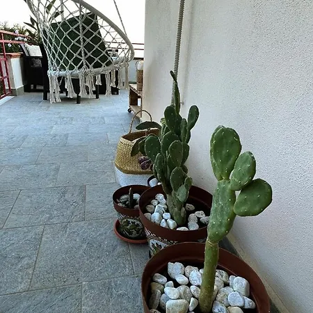 ‚cannolo Pigro' Letojanni
